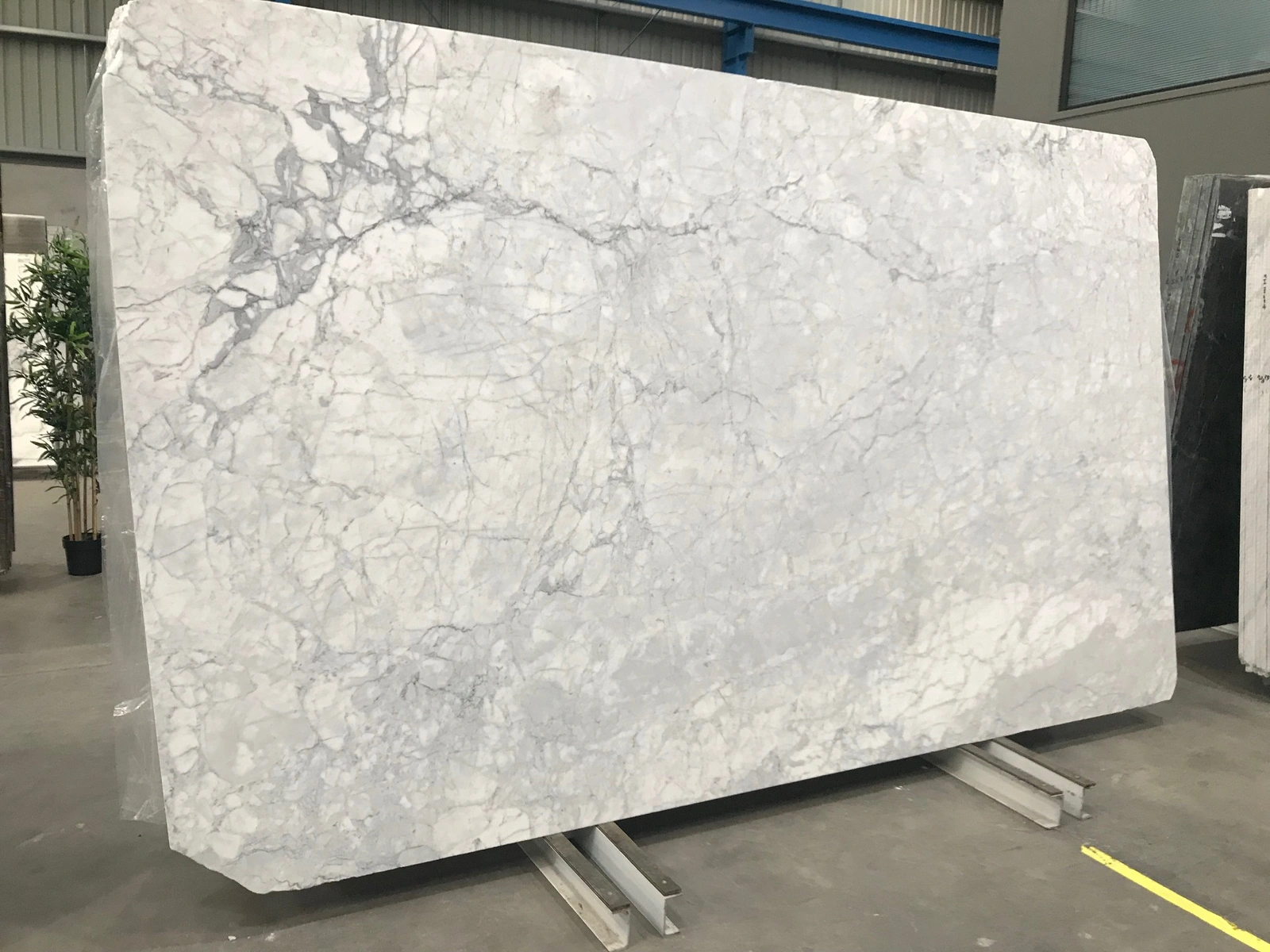 Statuario Gioia full slab