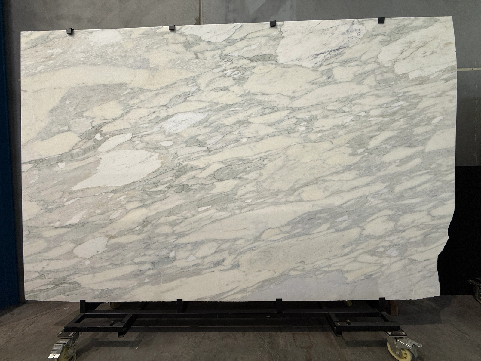 Arabescato Oyster full slab