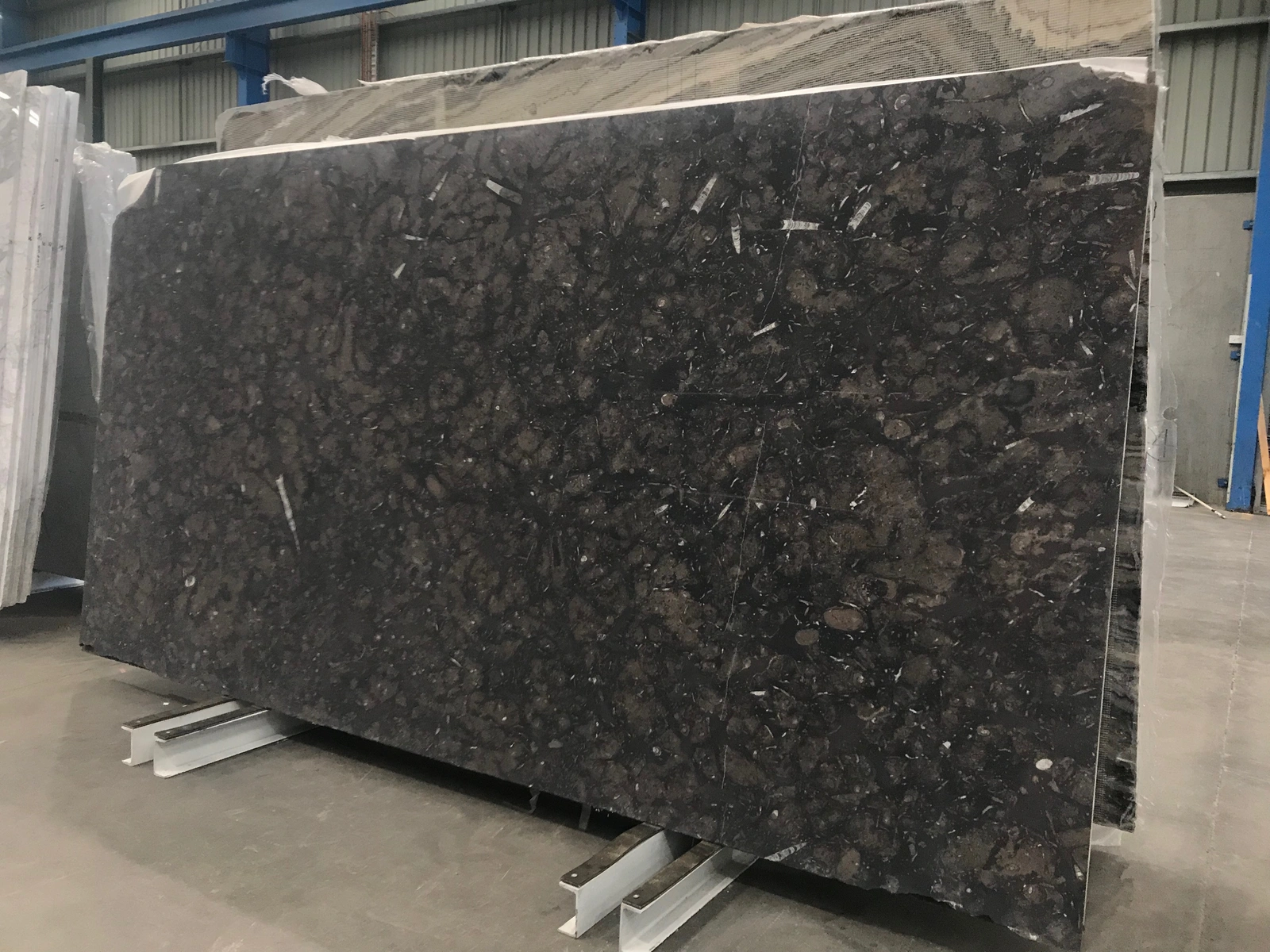 Fossil Brown full slab
