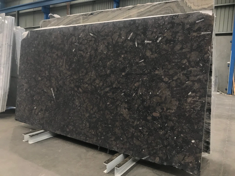 Fossil Brown marble &mdash; lot 2352