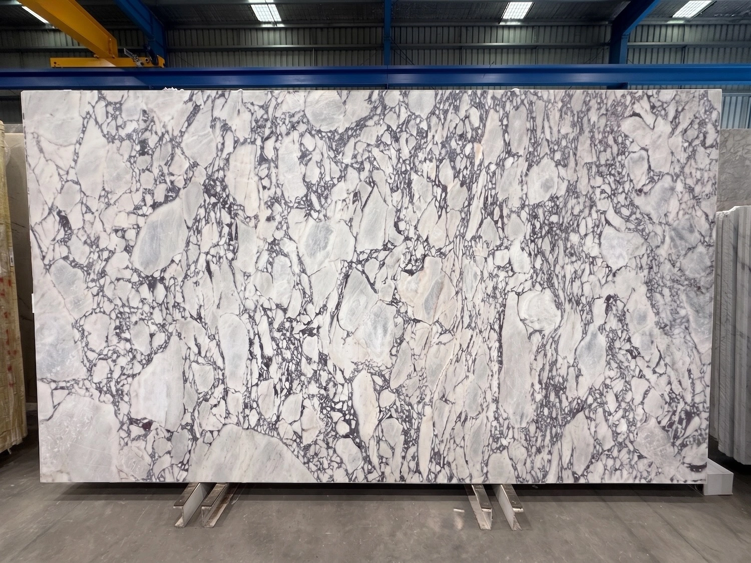 Calacatta Viola full slab