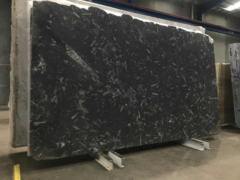 Fossil Black marble &mdash; lot 2553