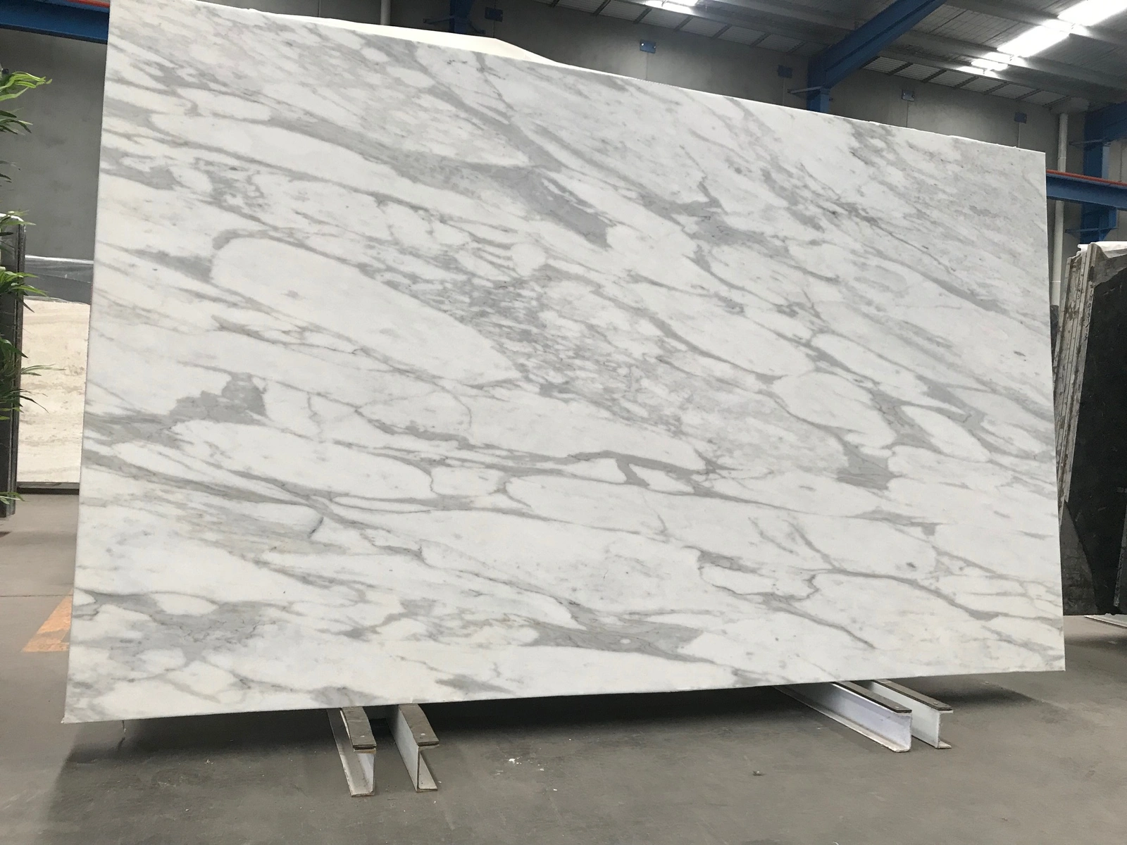 Calacatta Luna full slab