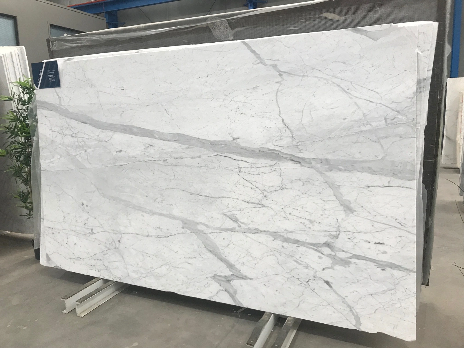 Statuario full slab
