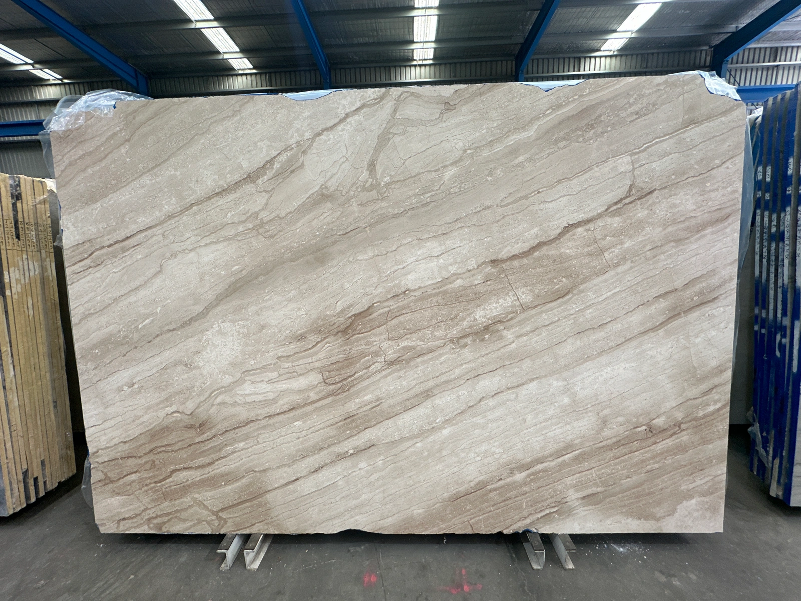 Daino Reale full slab